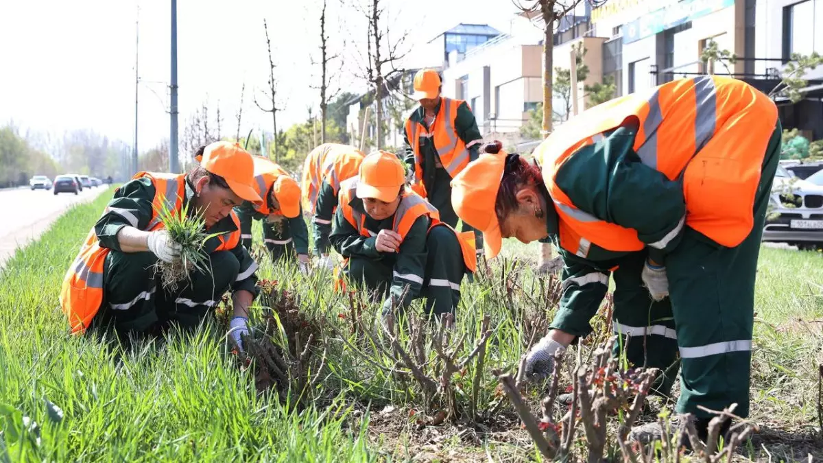 «Таза Қазақстан»: в Алматы в 2026 году высадят более 550 тыс. зеленых насаждений