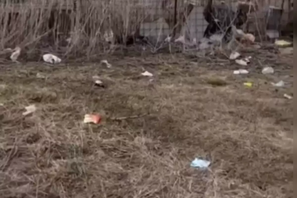 Қоқысқа көмілген ауыл: ШҚО-да халық таза ауа емес, сасық иіспен өмір сүріп отыр