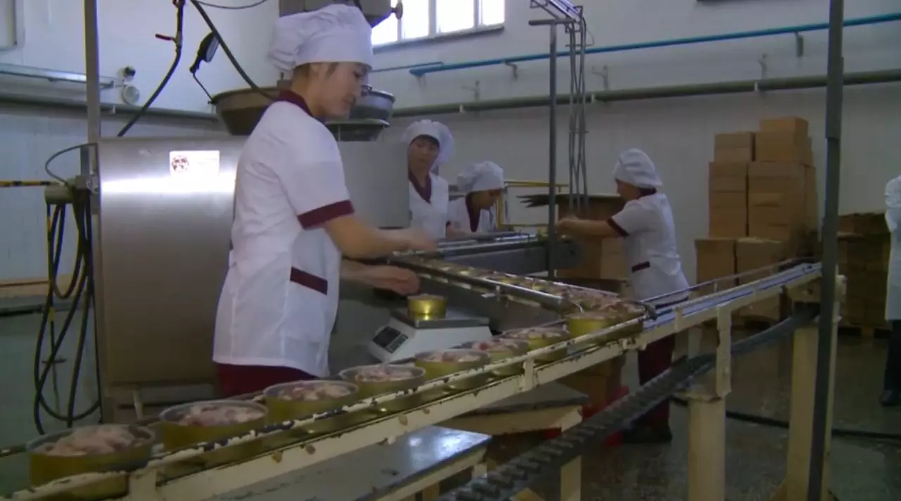 БҚО-да 91 мың киік мүйізі қоймаға жіберілген