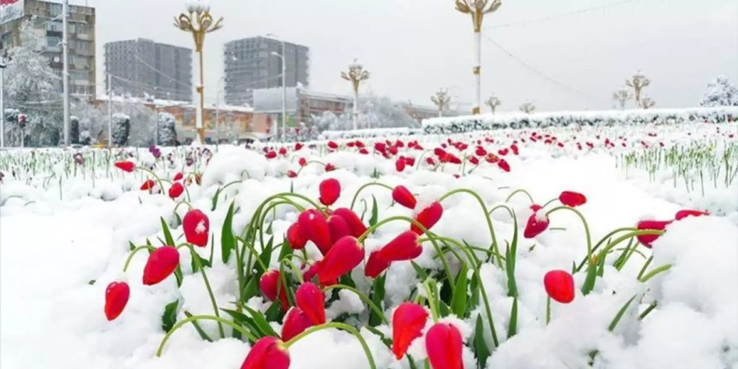 Алдағы күндері қар жауып, ауа температурасы күрт төмендейді