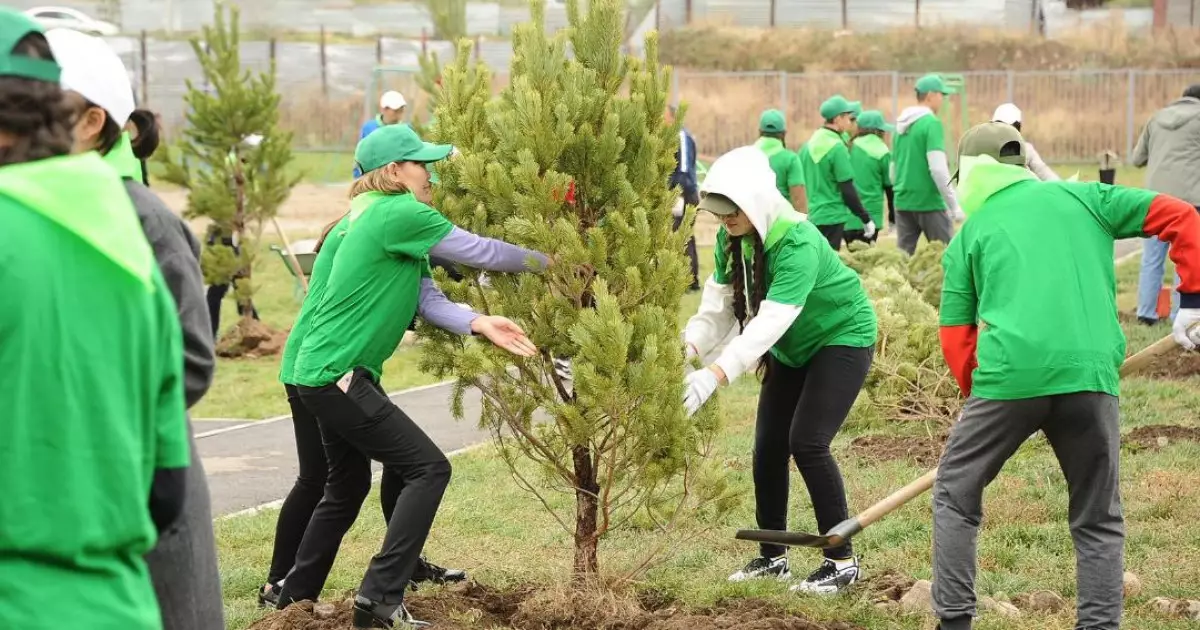   «Таза Қазақстан» жобасының аясында биыл Алматыда 550 мыңнан астам жасыл желек егіледі   