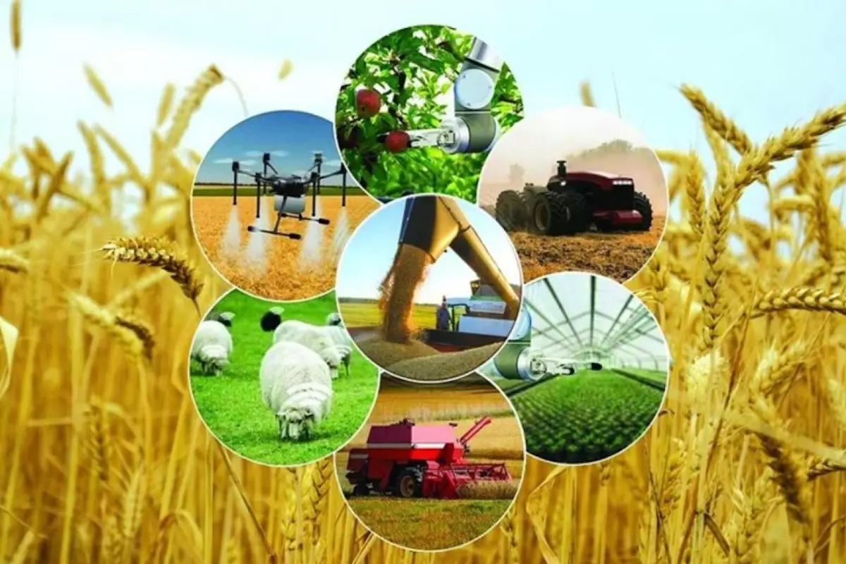 Более 100 проектов профинансируют в Атырауской области по программе «Ауыл аманаты»