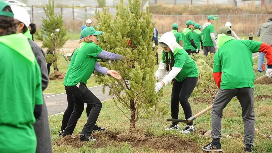 Таза Қазақстан: Биыл Алматыда 550 мыңнан астам ағаш егіледі