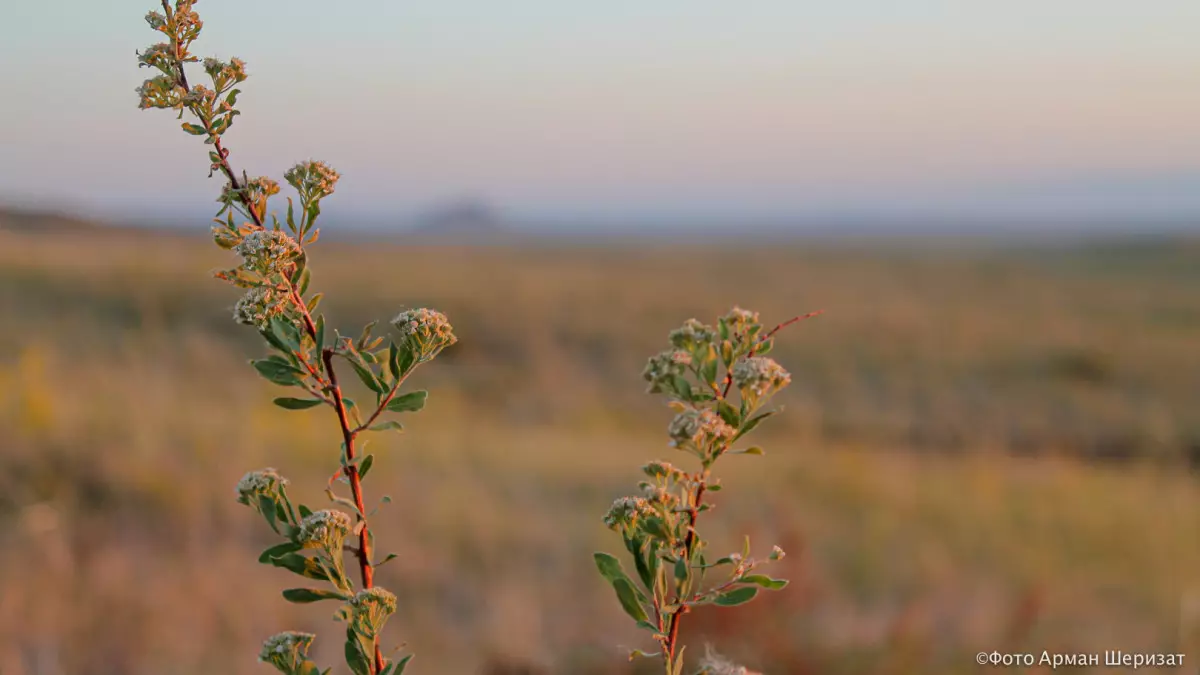 Риддерде туризмге кедергі жасаған әкімдік шешімі заңсыз деп танылды