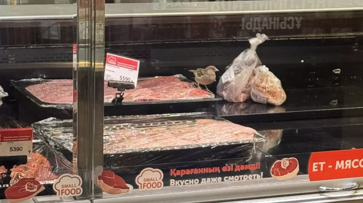 Астанадағы сауда дүкеніндегі шикі ет үстіндегі торғайлар жұртты шошытты