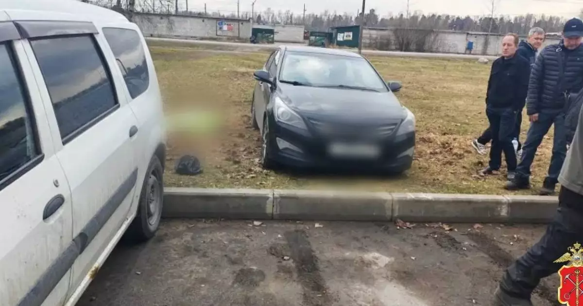  Ер адам көліктегі газ бен тежегішті шатастырып, әйелін қағып кетті 