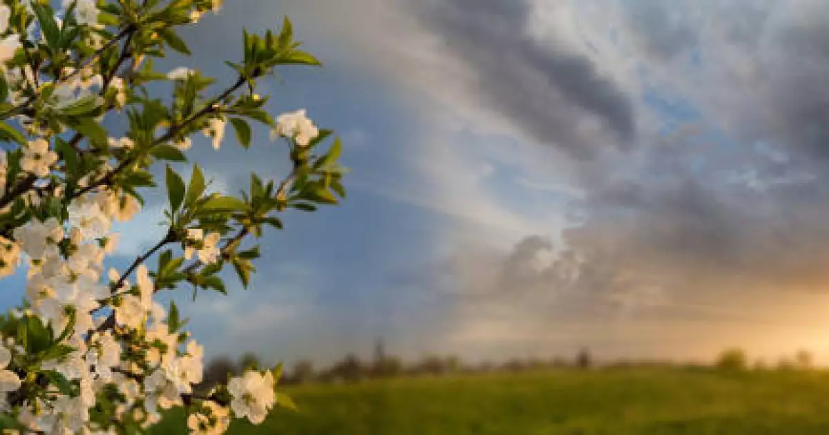   16 облыста дауылды ескерту жарияланды   