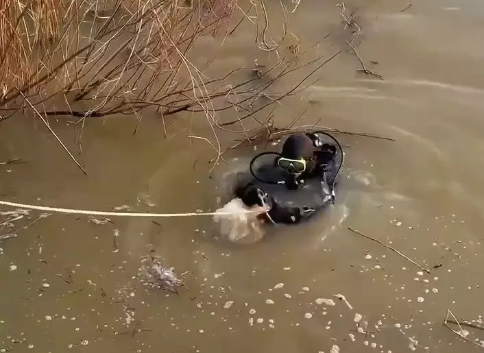 Ақтөбедегі іздестіру: 8 жасар баланы жүздеген адам күні-түні іздеп жатыр