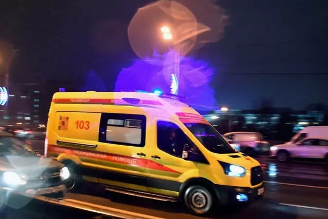 Павлодарда мысықты құтқармақ болған ер адам қайтыс болды