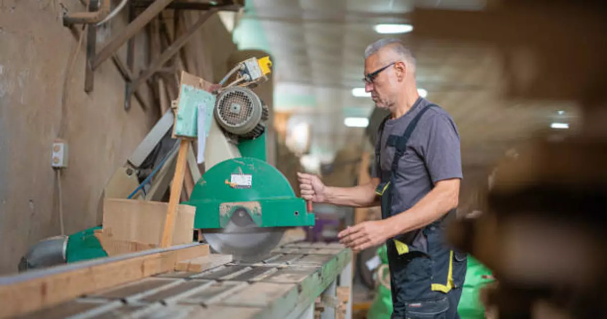  Үкімет СҚО-да ағаш өңдеу зауытын салу жөніндегі инвестициялық келісімді мақұлдады 