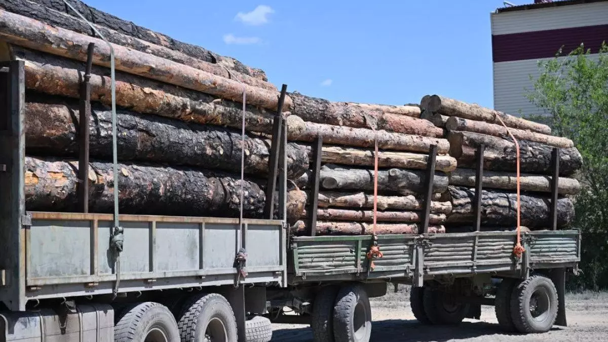 Үкімет СҚО-да ағаш өңдеу зауытын салу жөніндегі инвестициялық келісімді мақұлдады