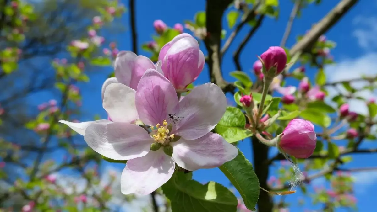 Қазақстандықтар мамырда жарты айға жуық демалады