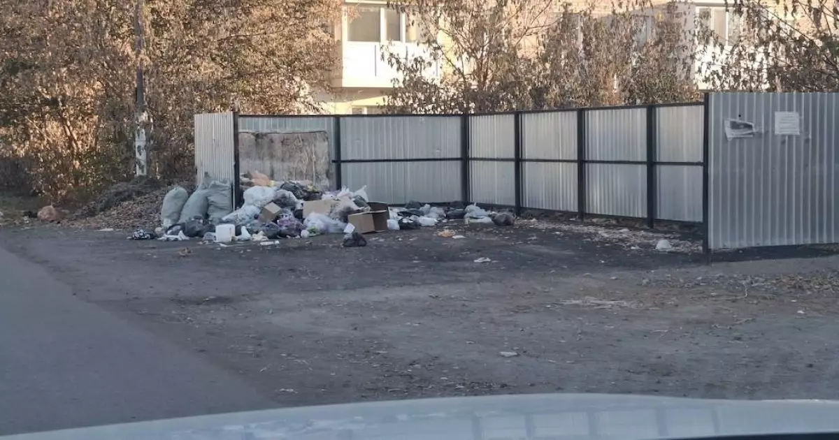  Қоқыстан табылған қалдықтар өскемендіктерді алаңдатып қойды 