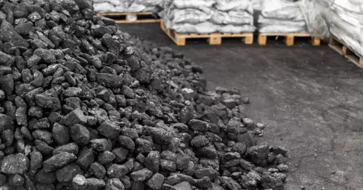  Қазақстандағы көмір қорының көлемі 33 млрд тоннадан асады – министр 