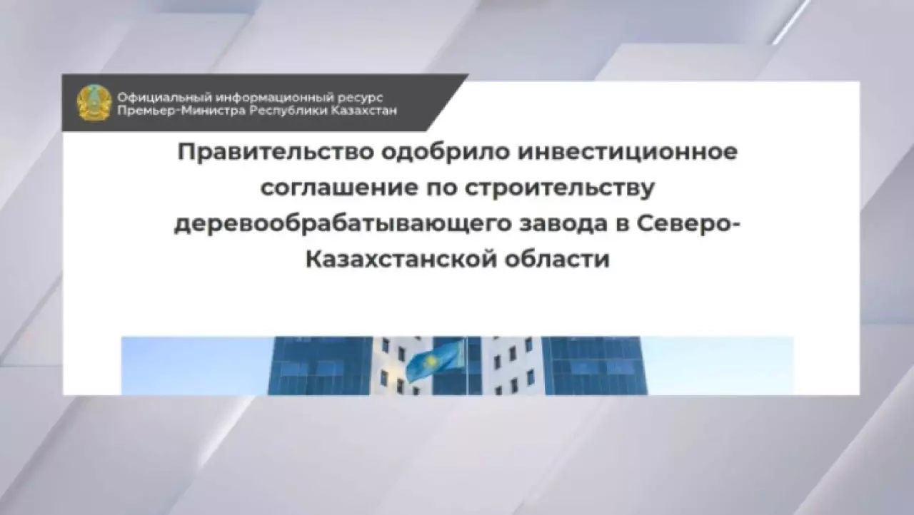 Деревообрабатывающий завод за ₸70 млрд построят в СКО