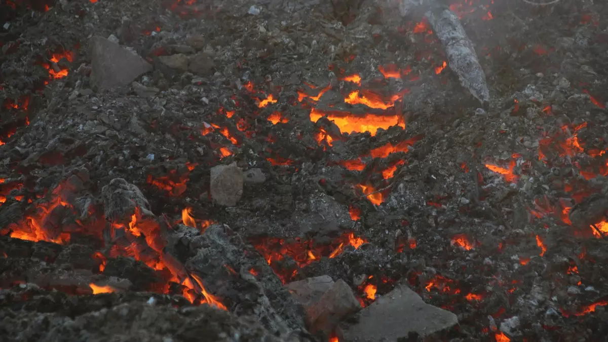 Казахстанцам рассказали сколько будет стоить уголь зимой