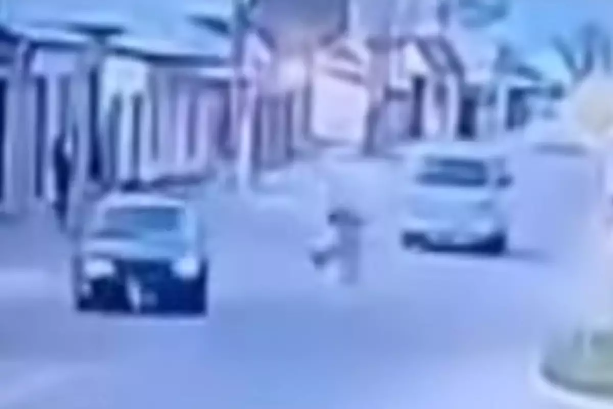 Неуправляемая лошадь с ребенком врезалась в Toyota в Таразе