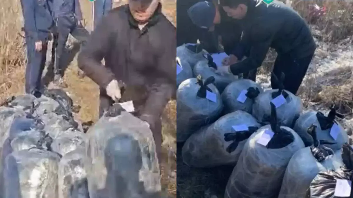 Павлодар облысында ірі есірткі тарату арнасы жойылды