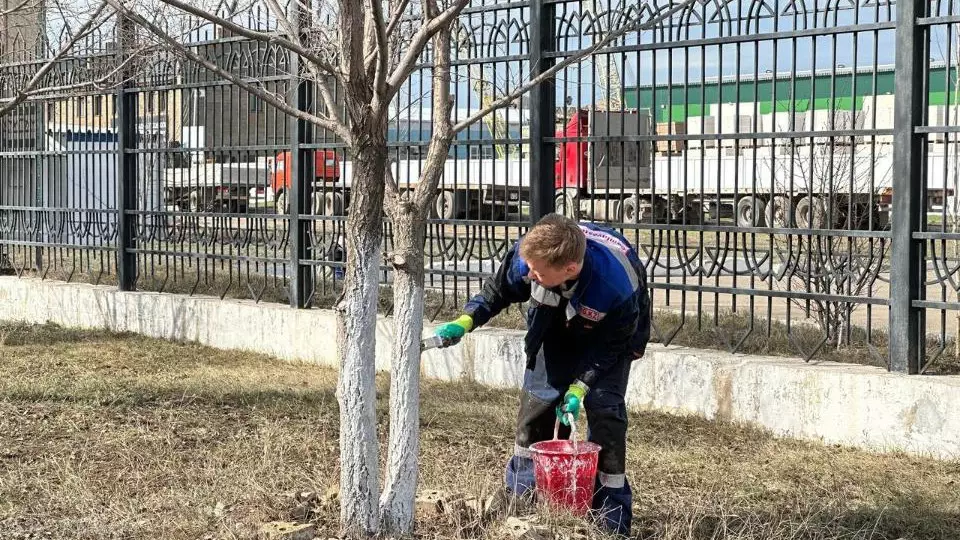 Елордада «Таза Қазақстан» акциясы аясында зауыт аумағы тазартылды