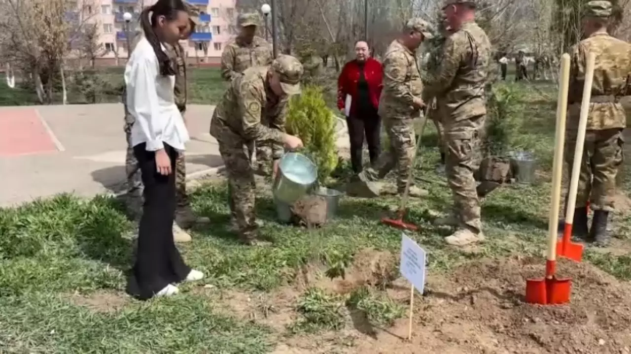 «Таза Қазақстан»: 500 деревьев высадят в Гвардейском гарнизоне