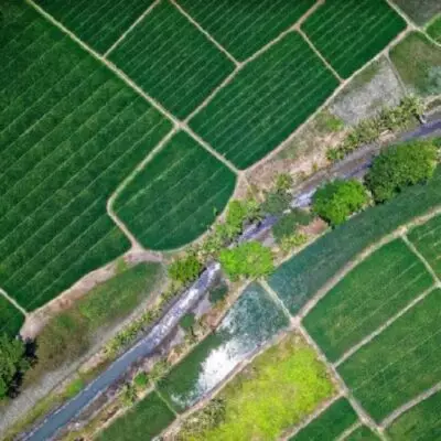 Функции земельных комиссий планируется упразднить – депутаты обсуждают изменения механизма получения сельхозземель