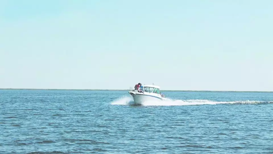 Землю у Балхаша выставят на открытые торги