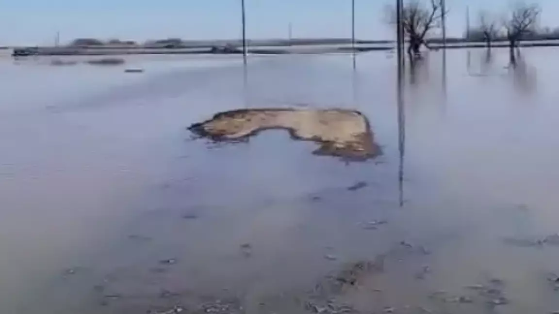 Ақмола облысында су тасқыны кезінде ер адам жоғалып кетті