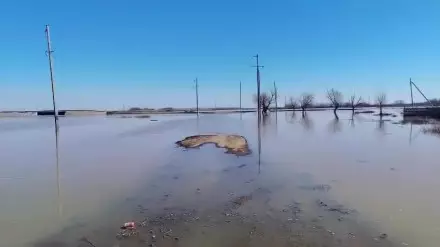 Ақмола облысында су тасқыны кезінде ер адам жоғалып кеткен