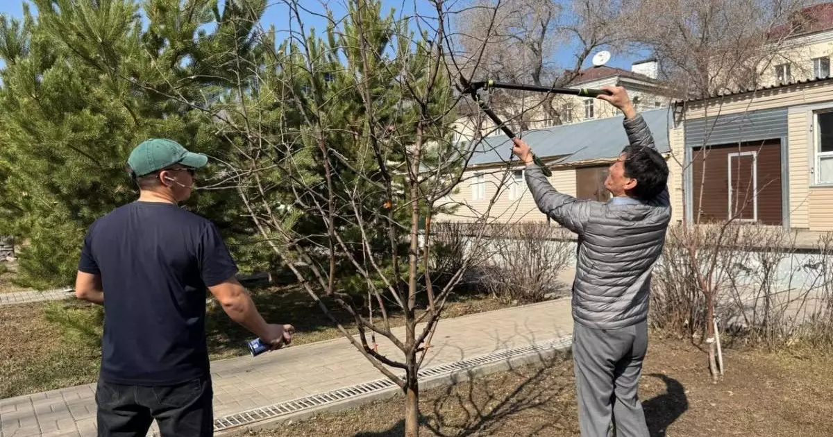  «Өзіңнен баста!»: Астанада мәдениет саласының өкілдері тазалық челленджіне қатысты 