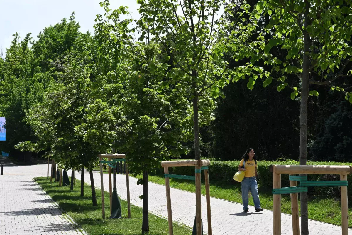 Алматыда жасыл қорды төрт кезеңмен биологиялық дәрілеу басталады