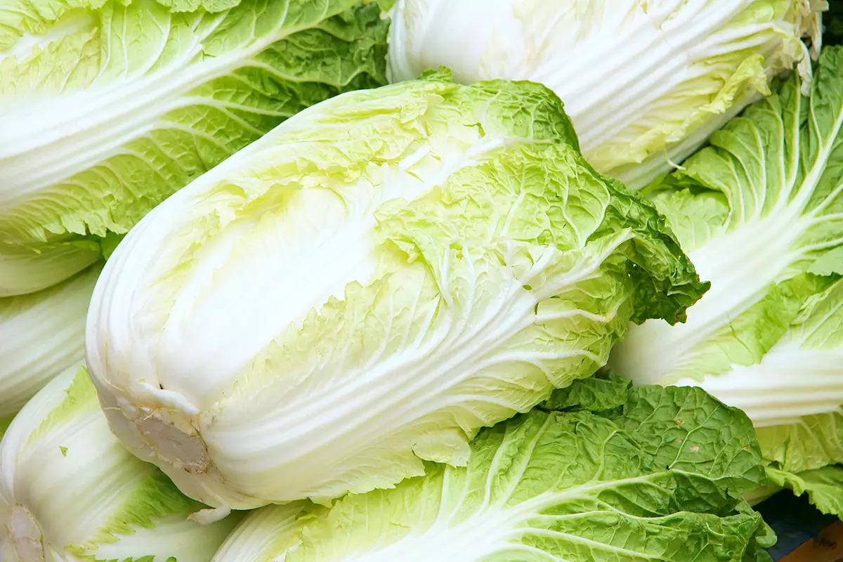 Казахстан начал ранний экспорт капусты из Туркестанской области