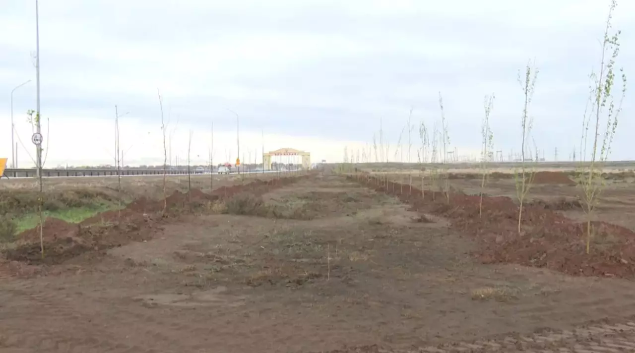 Ұлытау облысында «Жасыл дәліз» жобасы басталды