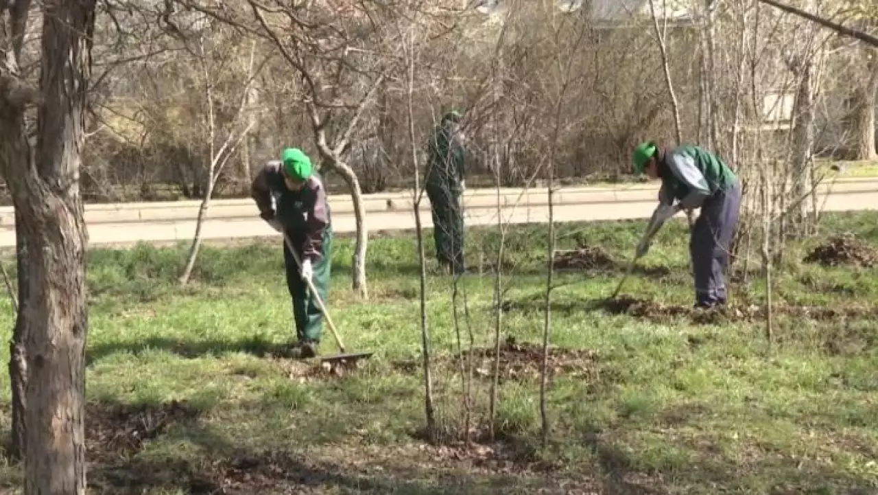XXII сезон трудовых отрядов «Жасыл ел» стартовал в Актобе