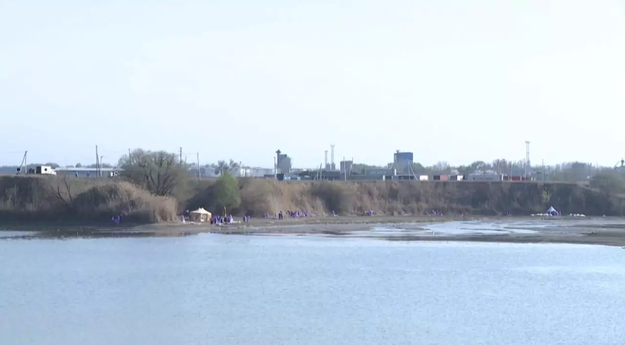 Биыл 50 су айдыны тазартылды