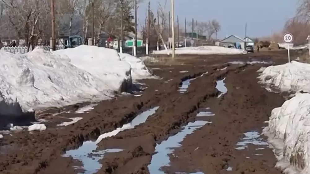 Жители в Павлодарской области жалуются, что утопают в грязи и живут без дорог