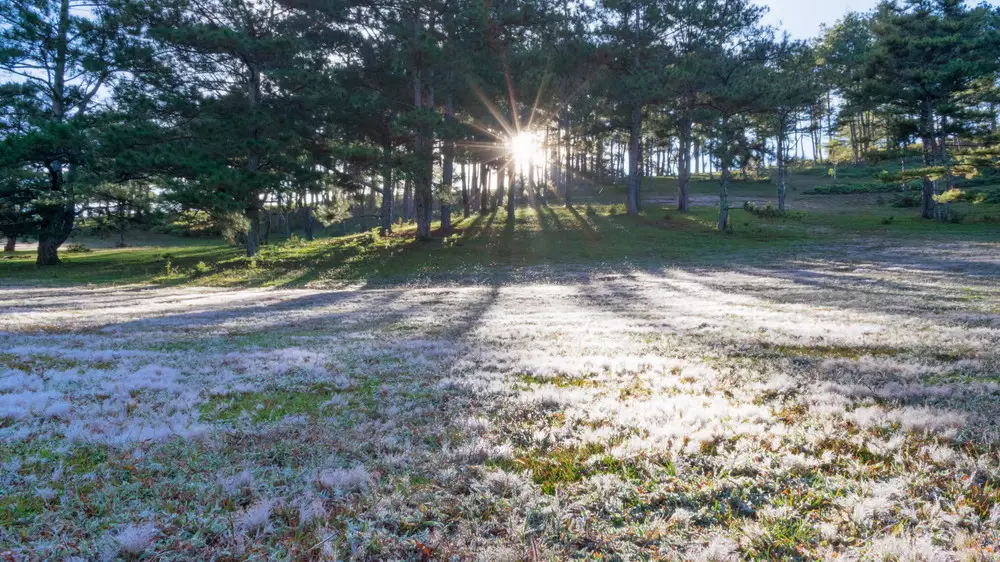 Дождь со снегом и град: какой будет погода в Казахстане в среду, 8 апреля