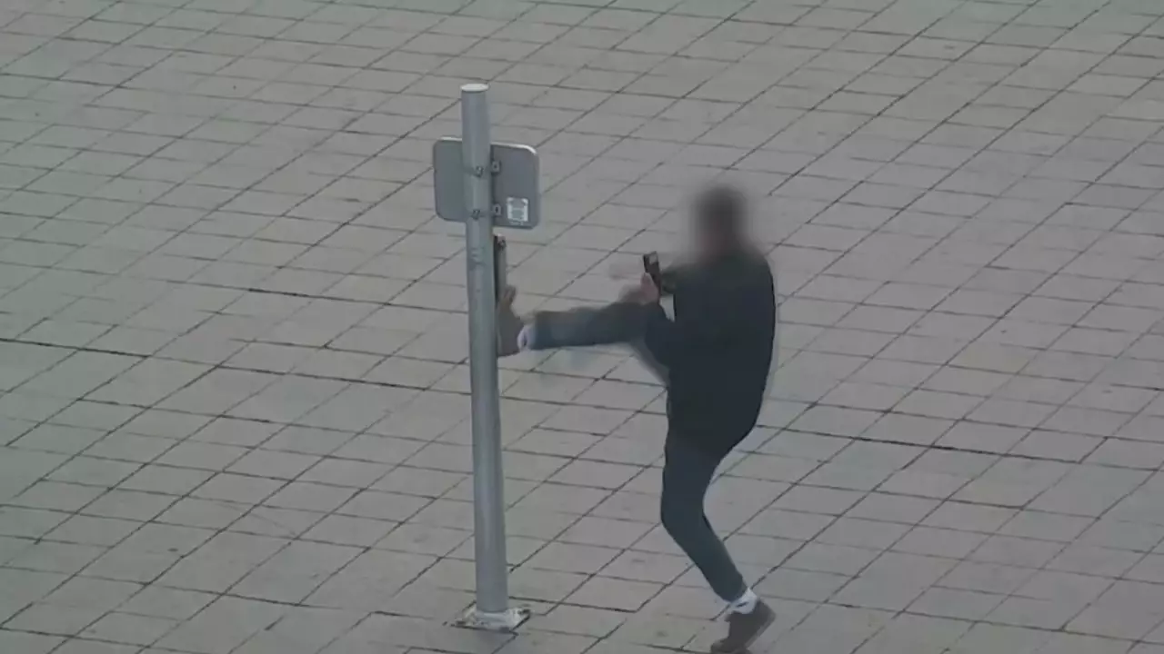 Вандализммен күрес күшейді