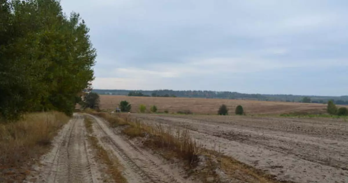  «Медеу» паркімен шекаралас 288 гектар жер мемлекетке қайтарылды 