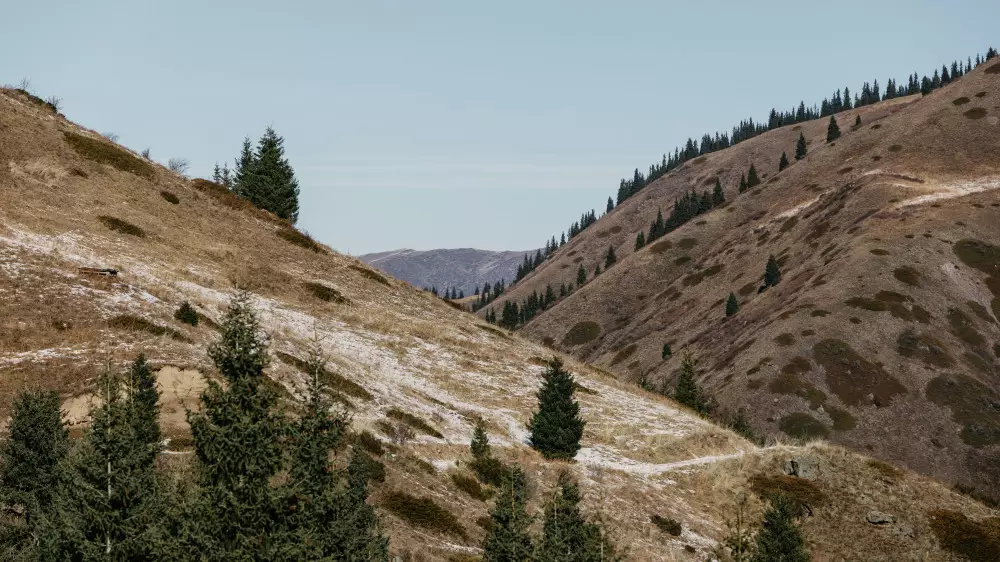 Земли на 17 миллиардов вернули государству в Алматы