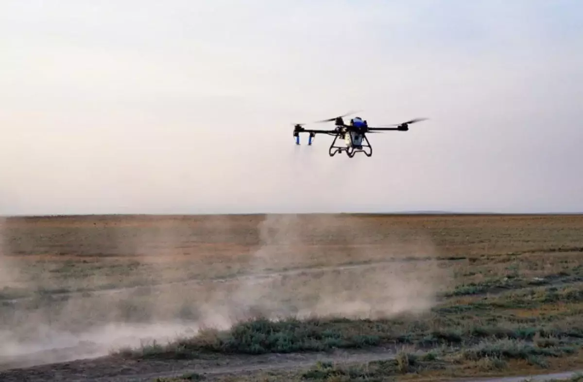 Шегірткеге қарсы күрес: 100-ден астам дрон іске қосылады