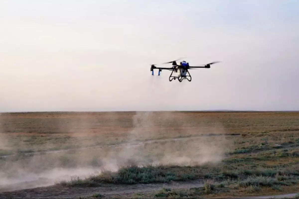 Химобработка с неба: агродроны направят в труднодоступные очаги саранчи