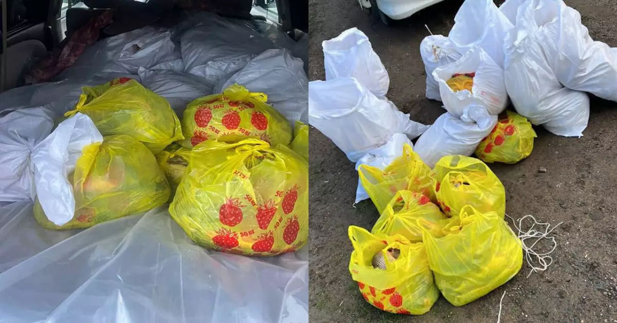  БҚО-да заңсыз ауланған 400 келіге жуық балық тәркіленді 