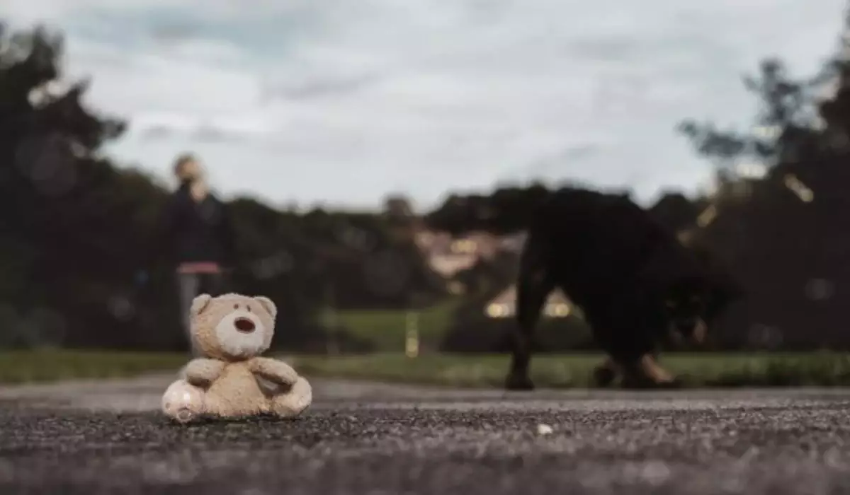 Әйел ұлын емдету үшін қызын құрбандыққа шалған