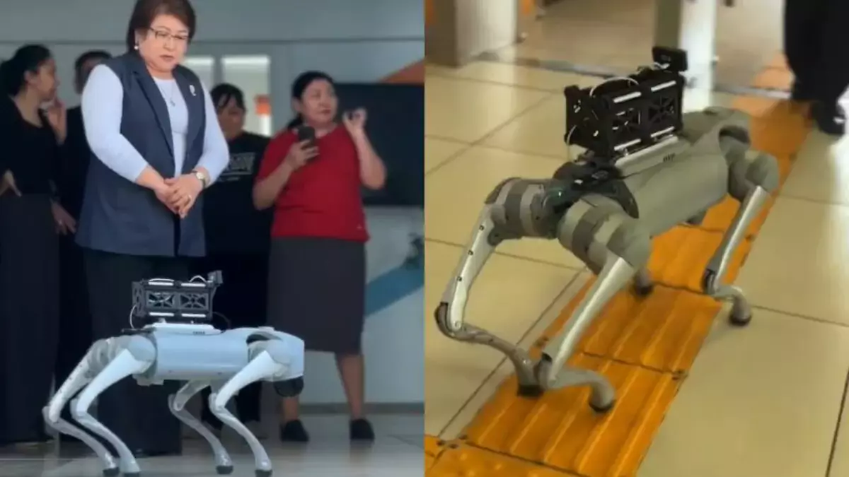 Роботы-собаки будут следить за школьниками в Казахстане