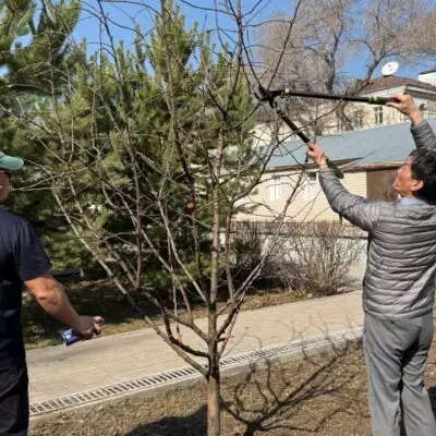 «Начни с себя!»: в Астане представители сферы культуры приняли участие в челлендже чистоты