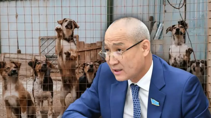 Пять дней в приюте и «на радугу»: депутаты дали свое видение гуманного отношения к животным