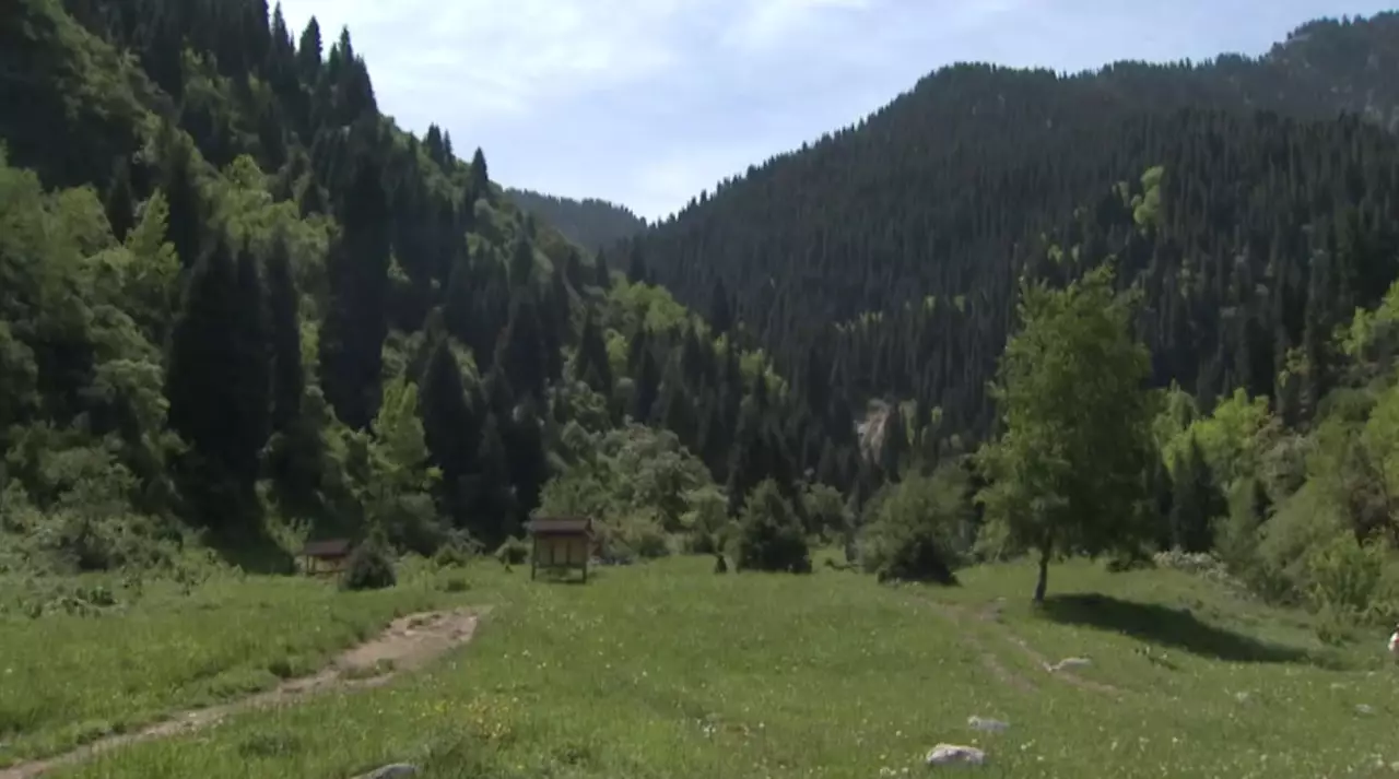 Алматыда құны ₸17 млрд болатын жер мемлекетке қайтарылды