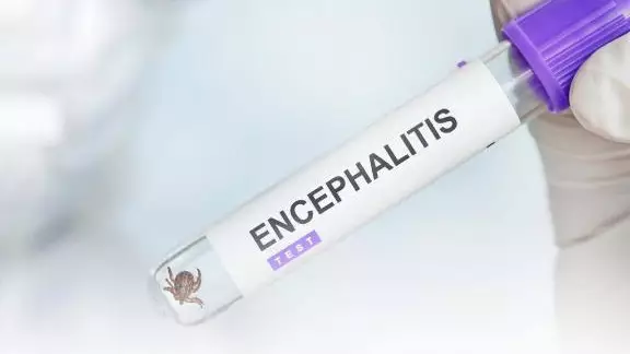 Қазақстанда көктем басталғалы 500-ге жуық адамды кене шақты