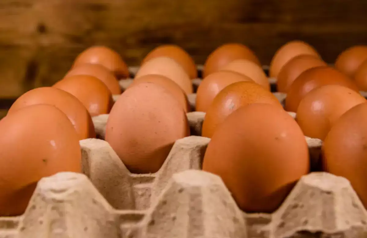 Молдова отправит в ЕС немытые яйца - новости на Lada.kz 08.04.2026
