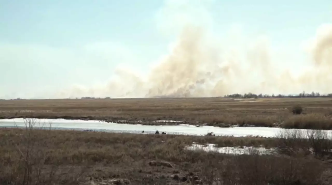 Павлодар облысында өртке қарсы 49 мобильді топ құрылды